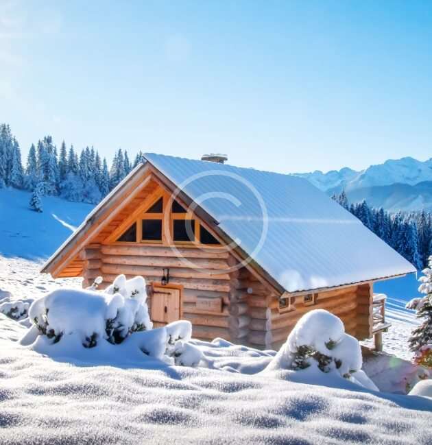 snow-img-copyright-23 snow-img-copyright-23